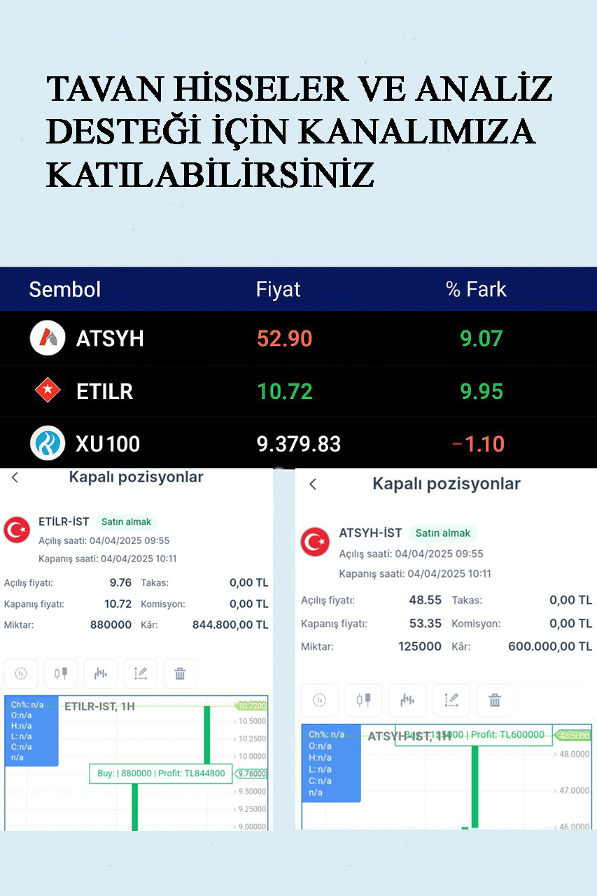 Tavan Hisse ve Analiz Destek